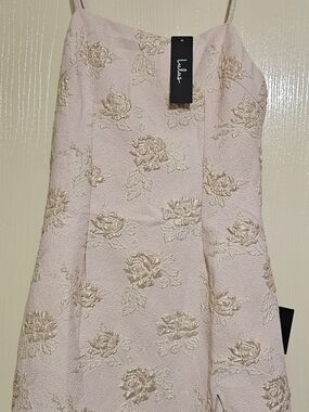 Lulus Blush Pink Dress with Gold Metallic Floral Brocade